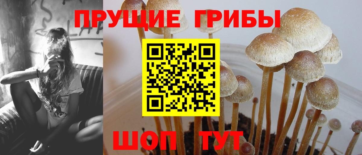Псилоцибиновые грибы Magic Shrooms Курчатов
